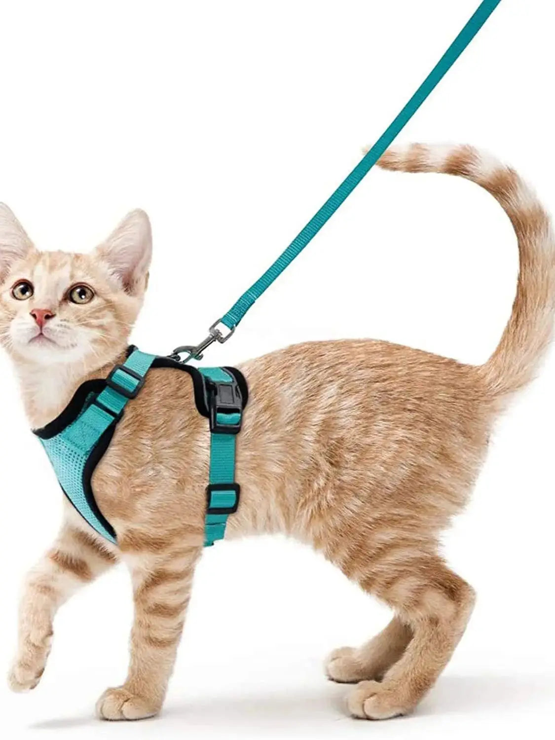 Adjustable Soft Cat Harness And Leash for Walking - Escape Proof Easy-Control Vest Harness with Comfortable Fit for Cats