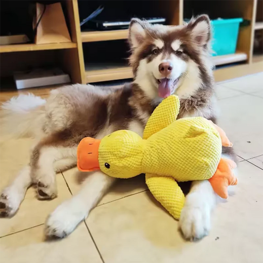 Stomping Duck Dog Toy – Bite-Resistant Plush for Teeth Cleaning & Interactive Fun