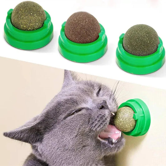 Natural Catnip Cat Wall Stick-On Ball Toy – Scratcher & Treat for Healthy Digestion