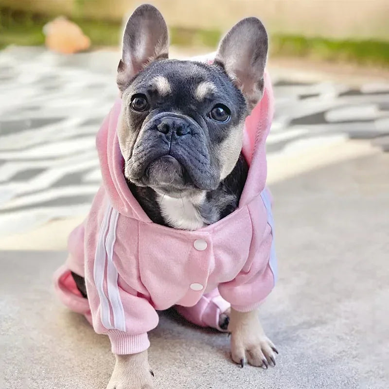 Cozy Pet Jumpsuit – Cute Outfit for French Bulldogs, Chihuahuas, Pugs & More