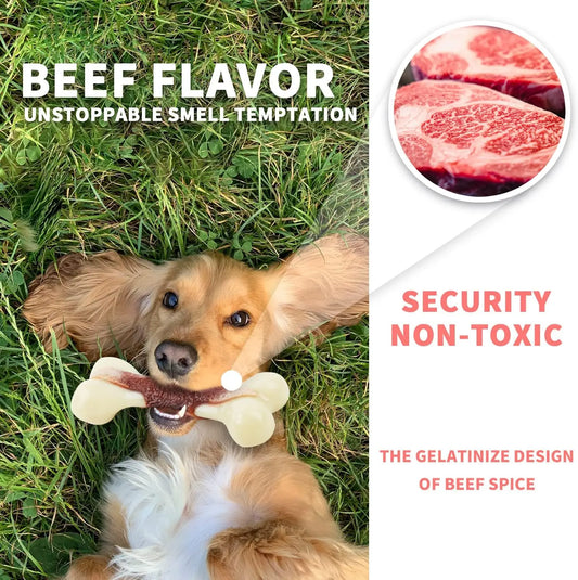 All For Paws Nearly Indestructible Nylon Bone – Beef-Flavored Chew Toy for Aggressive Chewers