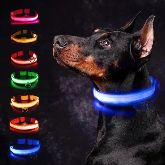 LED Glowing Dog Collar – Adjustable, Rechargeable, Flashing Night Safety Collar for Small Dogs