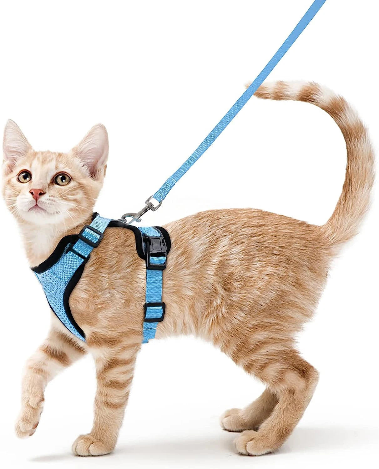 Adjustable Soft Cat Harness & Leash – Escape-Proof Vest for Safe and Comfortable Walks