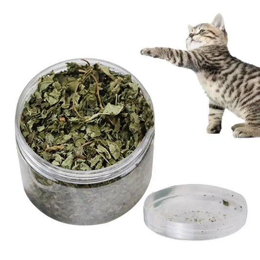 Natural Catnip Organic Premium Catmints – Cat Toy & Hairball Relief Supplement