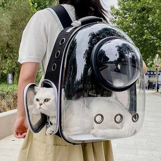 Space Capsule Pet Backpack – Breathable, Transparent Carrier for Cats & Small Dogs