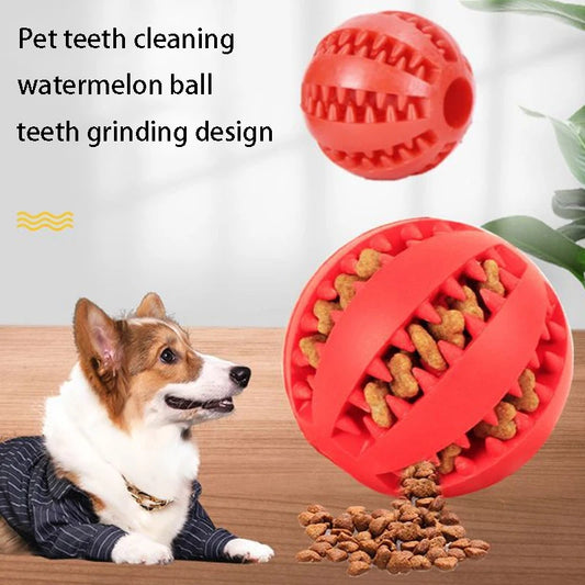 Natural Rubber Dog Chew Toy Tooth Cleaning Treat Ball Extra-Tough Interactive 5cm Elasticity Ball for Pets