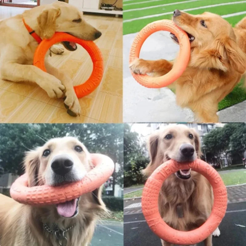 Durable Dog Flying Disk Toy – Perfect for Outdoor Fetch & Fun
