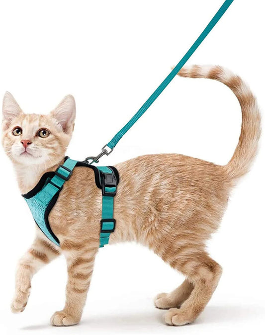 Adjustable Soft Cat Harness & Leash – Escape-Proof Vest for Safe and Comfortable Walks
