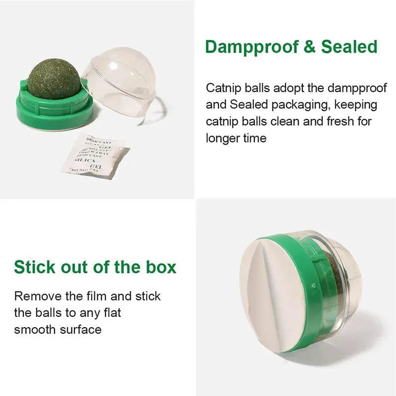 Natural Catnip Cat Wall Stick-On Ball Toy – Scratcher & Treat for Healthy Digestion