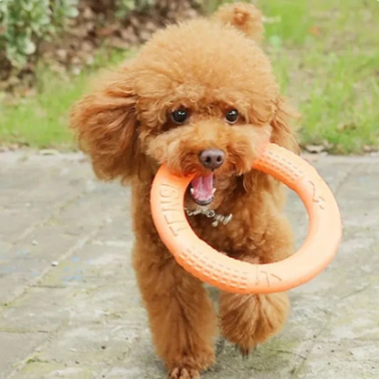 Durable Dog Flying Disk Toy – Perfect for Outdoor Fetch & Fun