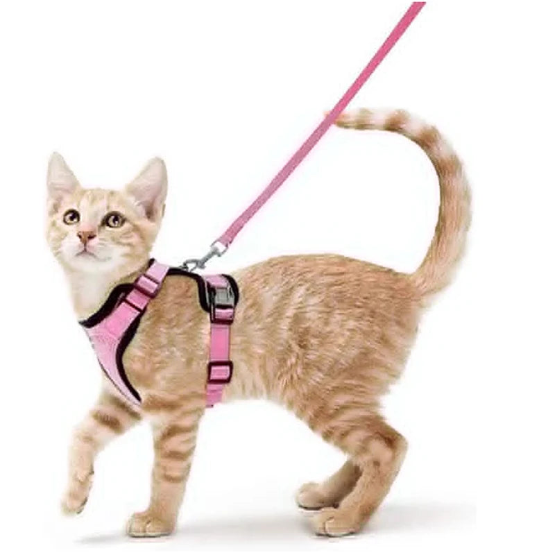 Adjustable Soft Cat Harness & Leash – Escape-Proof Vest for Safe and Comfortable Walks