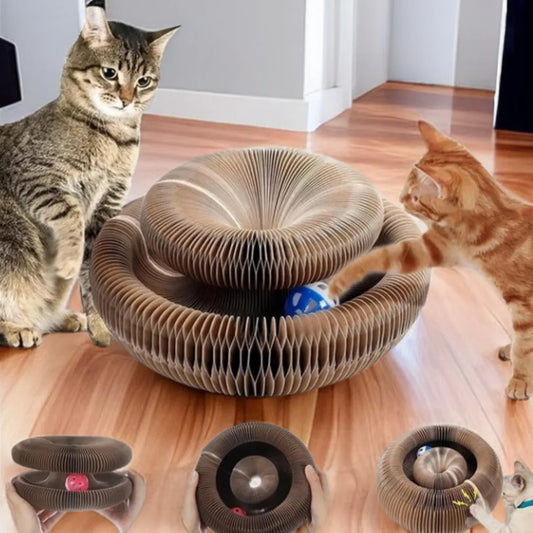Magic Cat Scratch Organ Board – 3-in-1 Cat Toy, Claw Grinder & Climbing Frame with Ball Track