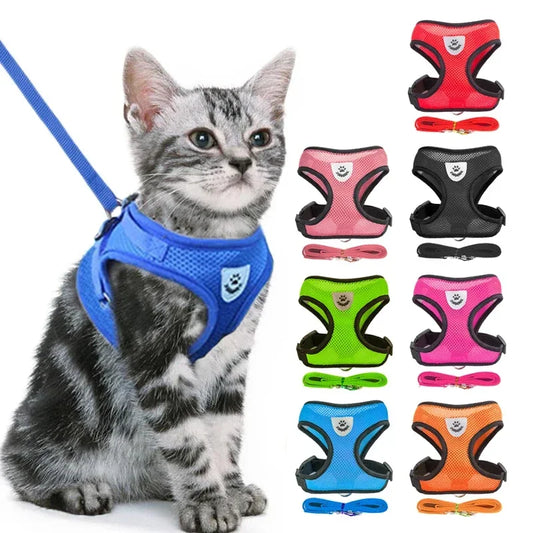 Adjustable Mesh Harness Vest with Leash – For Cats, Puppies & Small Dogs