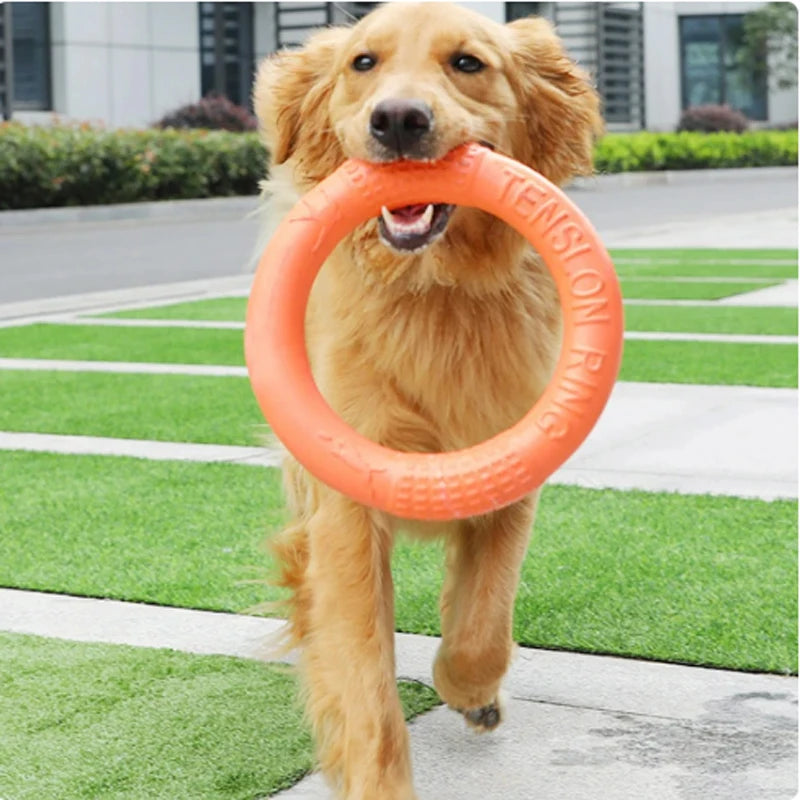 Durable Dog Flying Disk Toy – Perfect for Outdoor Fetch & Fun