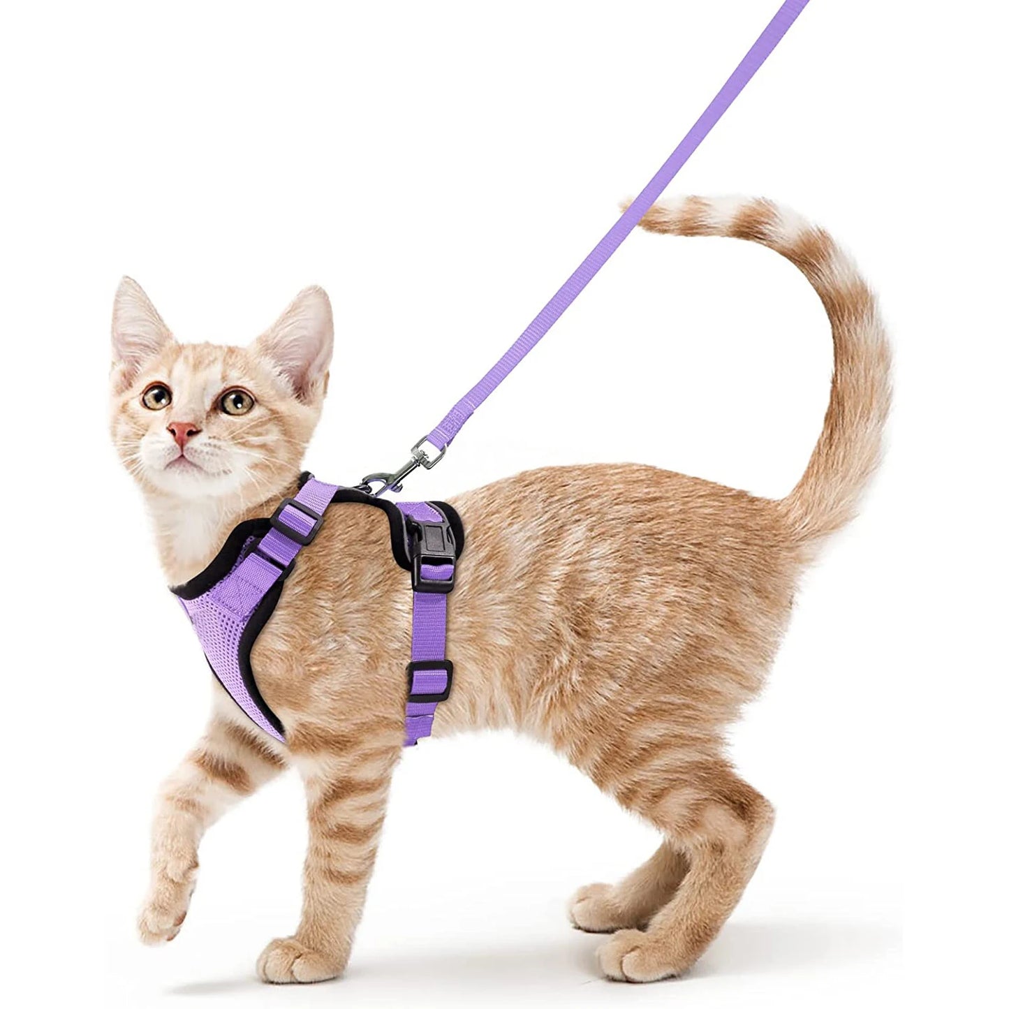 Adjustable Soft Cat Harness & Leash – Escape-Proof Vest for Safe and Comfortable Walks