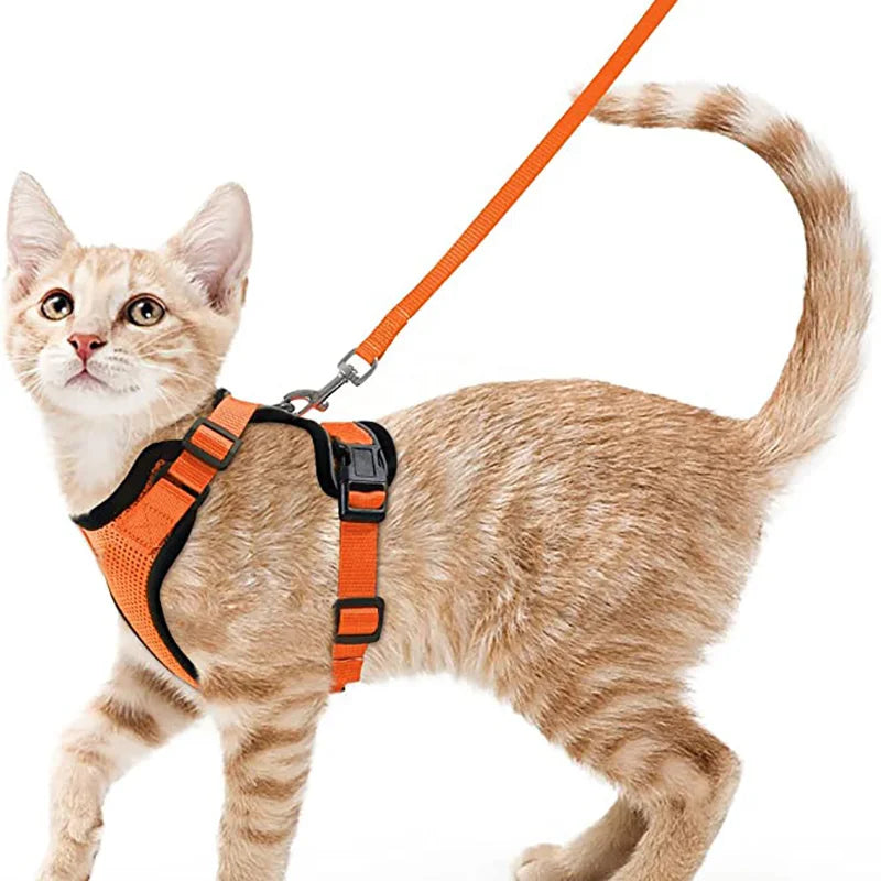 Adjustable Soft Cat Harness & Leash – Escape-Proof Vest for Safe and Comfortable Walks
