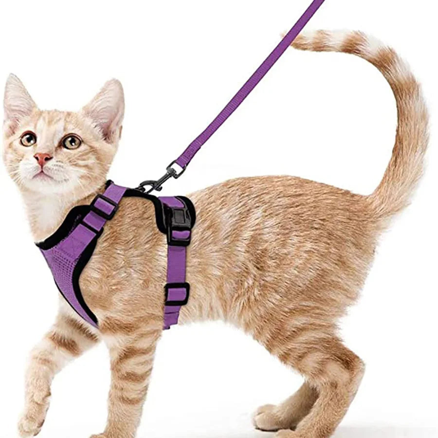Adjustable Soft Cat Harness & Leash – Escape-Proof Vest for Safe and Comfortable Walks