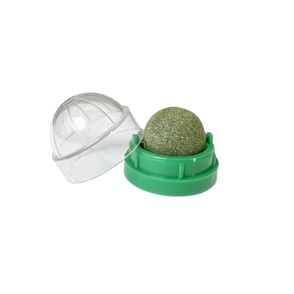 Natural Catnip Cat Wall Stick-On Ball Toy – Scratcher & Treat for Healthy Digestion