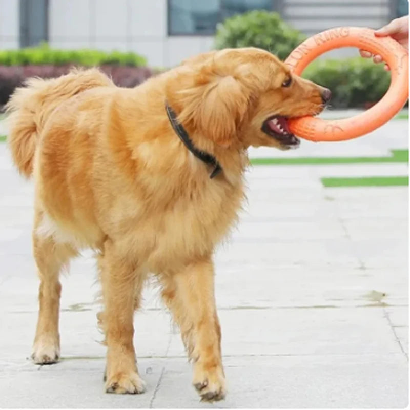 Durable Dog Flying Disk Toy – Perfect for Outdoor Fetch & Fun
