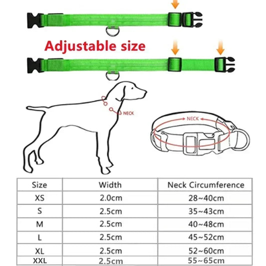 LED Glowing Dog Collar – Adjustable, Rechargeable, Flashing Night Safety Collar for Small Dogs