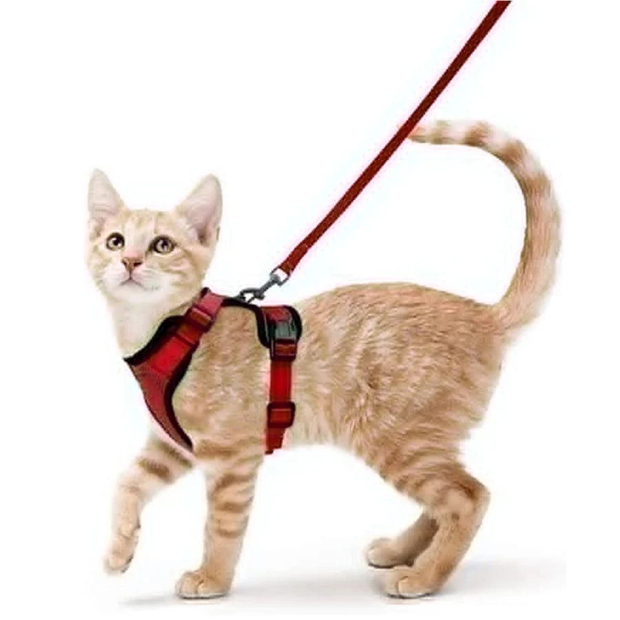 Adjustable Soft Cat Harness And Leash for Walking - Escape Proof Easy-Control Vest Harness with Comfortable Fit for Cats