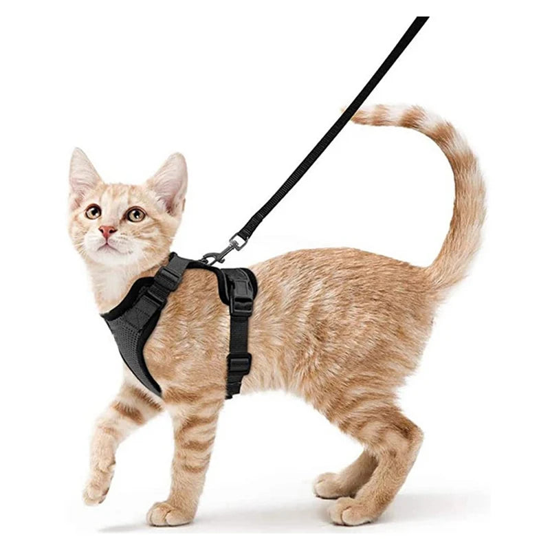 Adjustable Soft Cat Harness & Leash – Escape-Proof Vest for Safe and Comfortable Walks