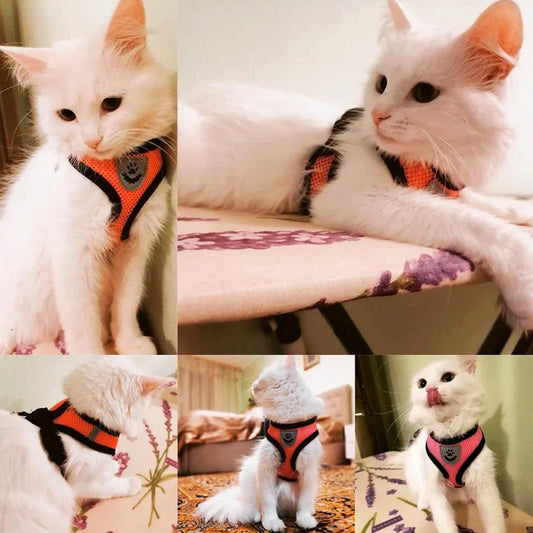 Summer Adjustable Pet Harness & Leash – Breathable Polyester Mesh with Reflective Strips