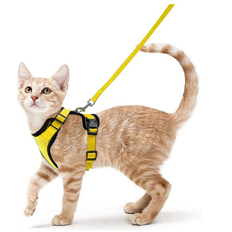 Adjustable Soft Cat Harness & Leash – Escape-Proof Vest for Safe and Comfortable Walks